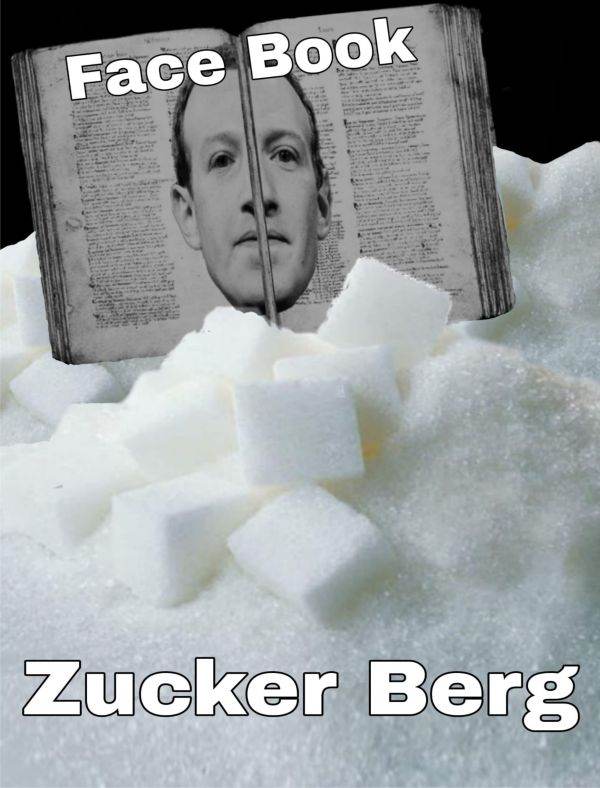 Illustration by MAKE. I typed in Google Translate the words "face book sugar mountain" and when I asked for the German translation, the program displayed without hesitation "Facebook-Zuckerberg". Other times, the program refuses the German translation and displays "Facebook Sugar Mountain". The robot translated: "Gesicht Buch Zucker Berg".