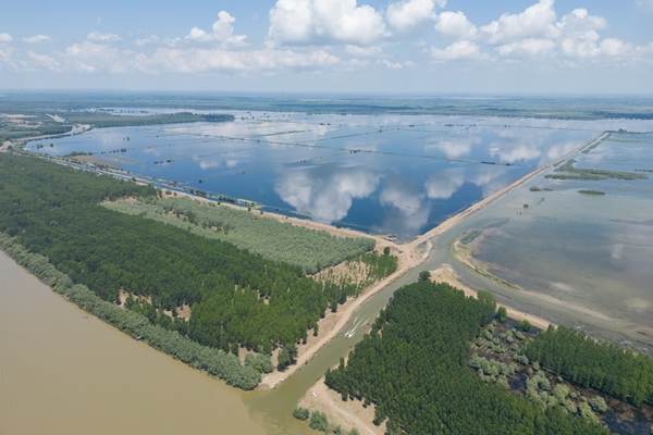 WWF România: O zonă umedă renaturată din Delta Dunării riscă să fie transformată din nou în teren agricol 