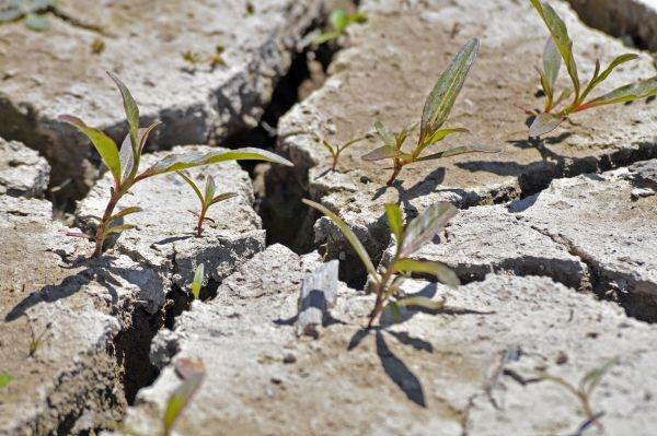 "Water is gold", say the people hit hard by the drought