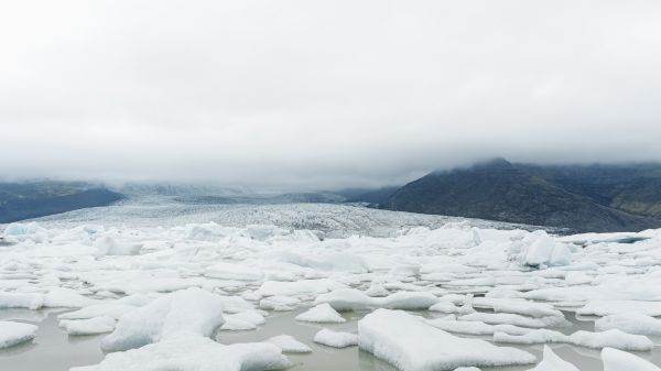 Gheaţa, "pe cale de dispariţie" în Arctica