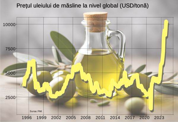 Uleiul de măsline arată că personalul BCE nu ştie de unde vine inflaţia