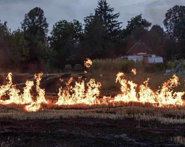 Raport: Incendiile de vegetaţie sunt tot mai dese şi mai violente