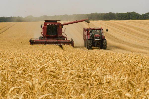 Reuters: Un tribunal ucrainean dispune arestarea preventivă a ministrului demisionar al agriculturii