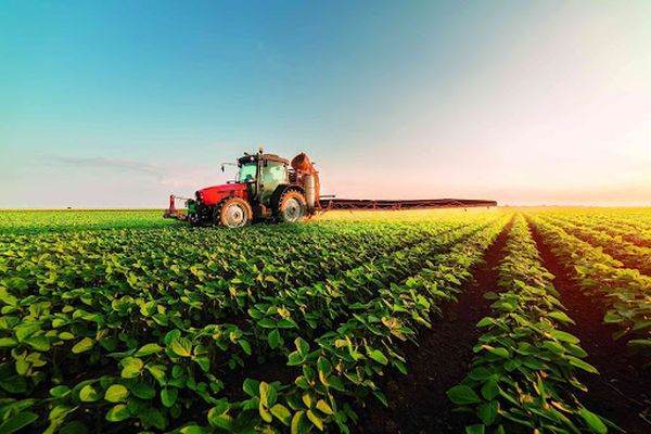 INS: Aproape 12% dintre persoanele ocupate lucrau în ramurile agricole, în 2023