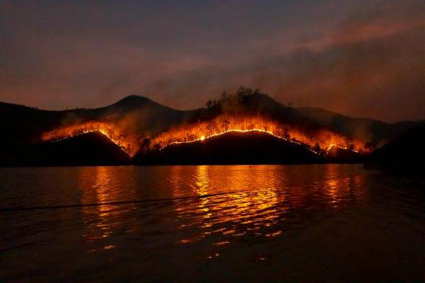 Planeta, sub asaltul incendiilor