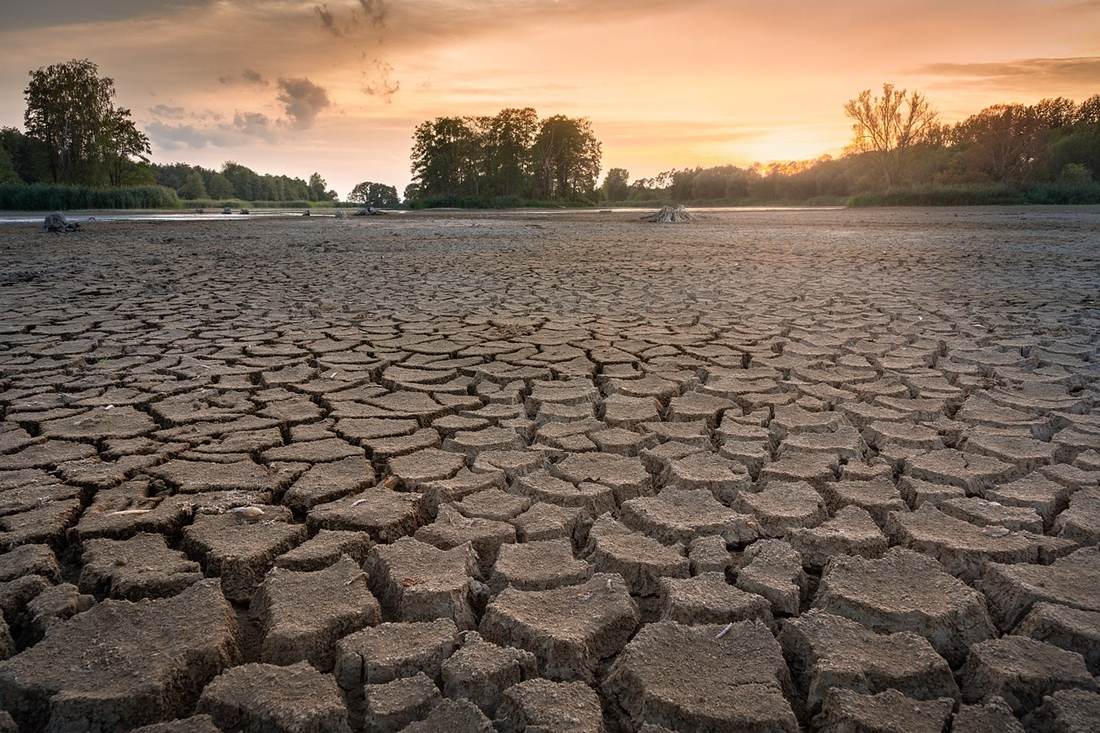 Ministerul Agriculturii: Fermierii pot depune cererile de constatare a pagubelor produse de secetă până pe 19 august pentru obţinerea despăgubirilor