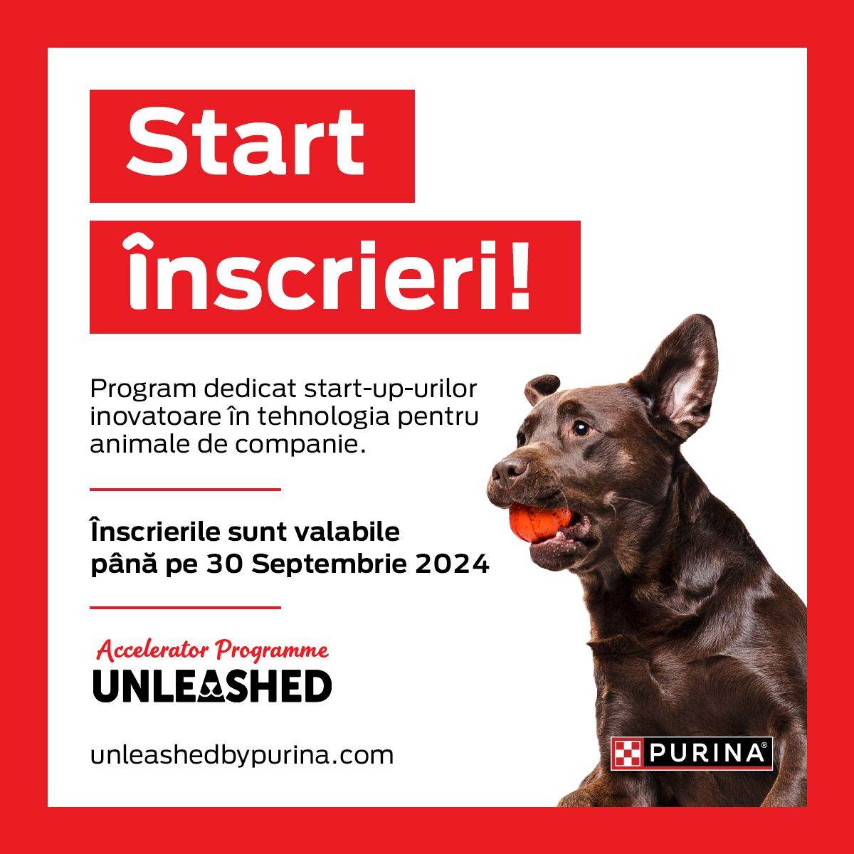 Unleashed by PURINA primeşte aplicaţii pentru cea de-a şasea ediţie