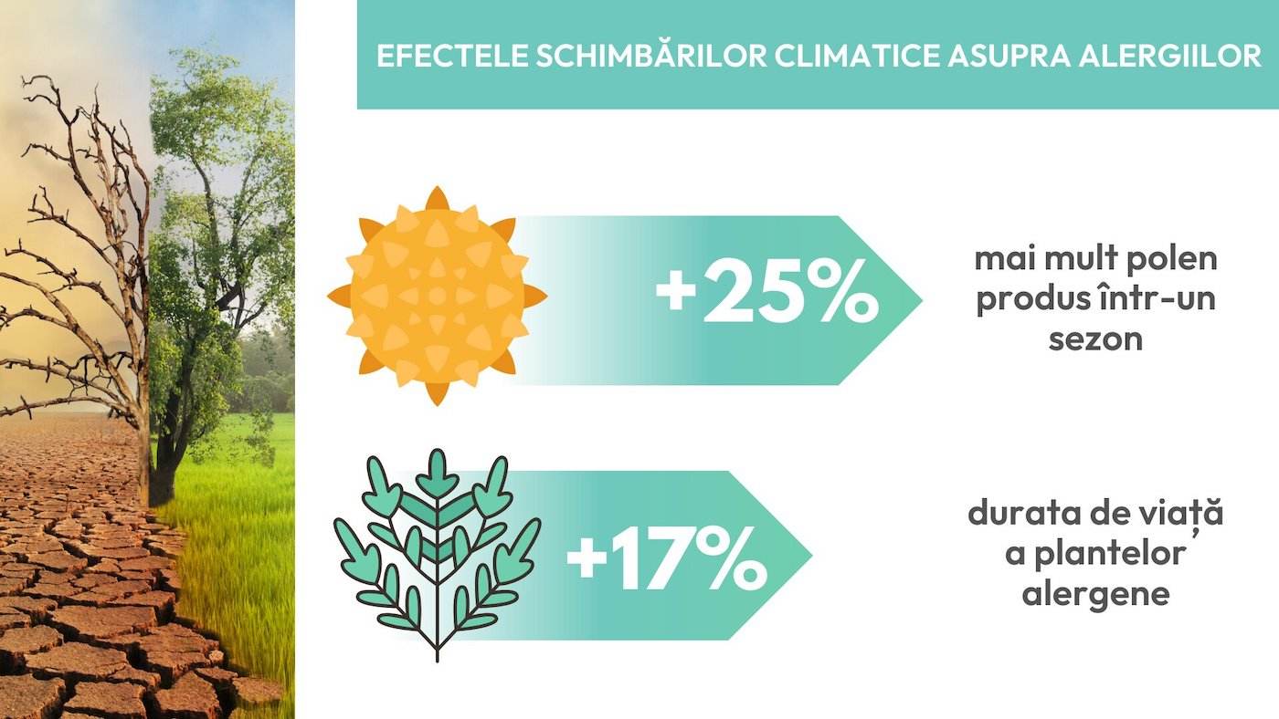 Schimbările climatice cresc incidenţa alergiilor