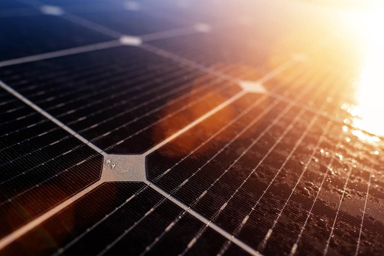 Greenvolt colaborează cu Flora Food Group pentru proiecte fotovoltaice în Portugalia şi Germania