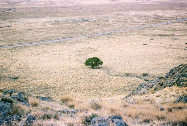 Droughts are becoming the norm