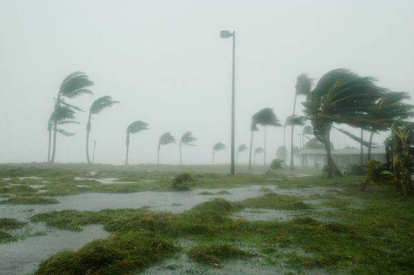 Cicloanele tropicale au cauzat pierderi totale de aproximativ 133 de miliarde de dolari