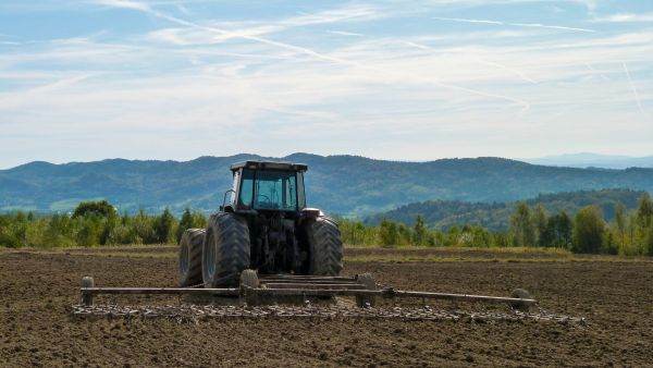 Finanţare record pentru agricultură: 3 miliarde euro alocate de BEI fermierilor 