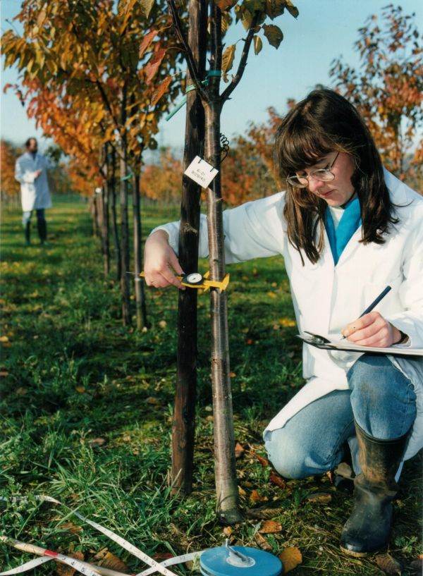 Financing for the modernization of agricultural education