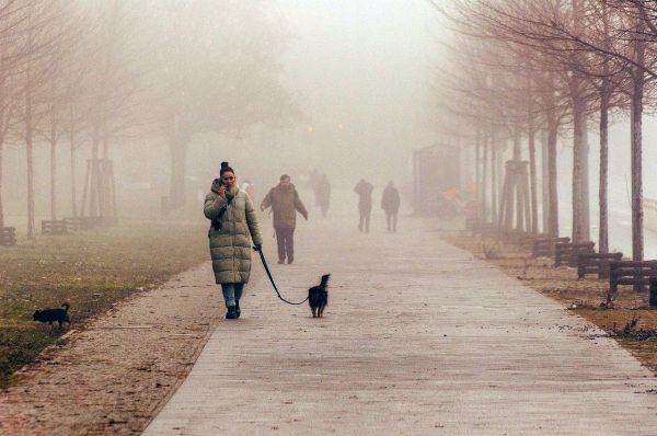 Ianuarie 2025, semnal de alarmă pentru schimbările climatice