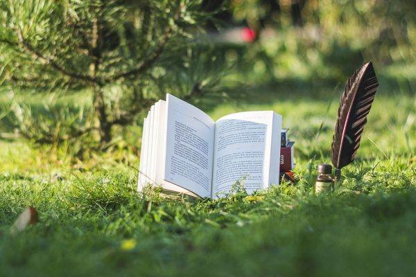 Exemplarele din prima ediţie "Harry Potter şi piatra filosofală" se vând foarte bine la licitaţii