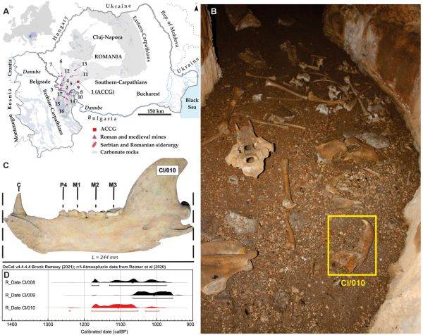 Sursa foto: https://www.sciencedirect.com/science/article/pii/S0269749125001393