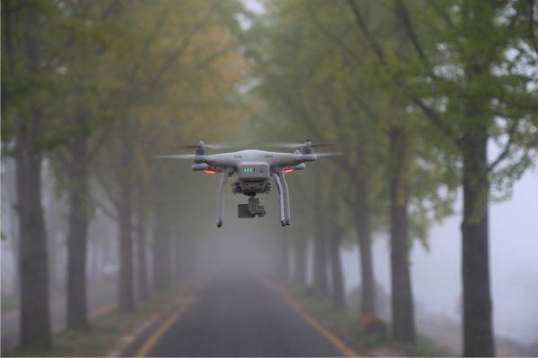 Tree Census, with Drones and Lasers