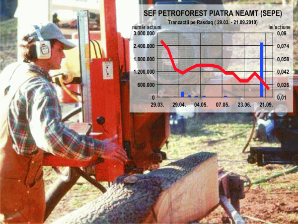 "SEF Petroforest" Piatra Neamţ aşteaptă să intre în insolvenţă