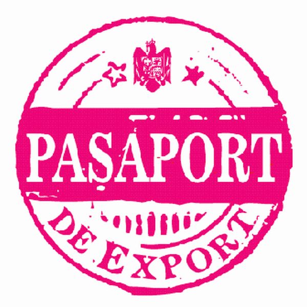 CONFERINŢĂ DE INFORMARE PROIECT REGIUNEA VEST "Paşaport de Export" - Cod MySMIS 128132