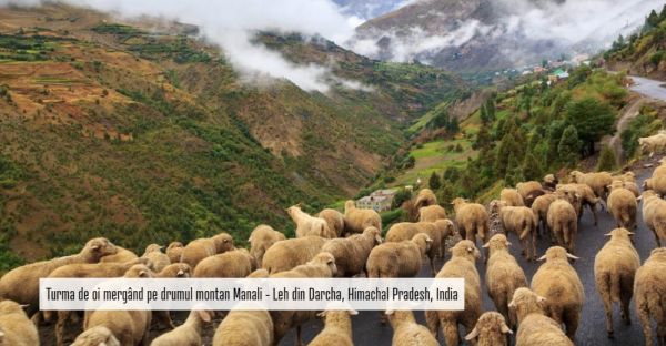 Descoperiţi India! Oportunităţi economice în Himachal Pradesh