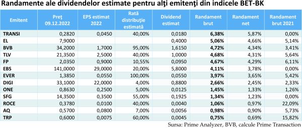 "Dividendele mari sunt pe cale să aibă o revenire spectaculoasă la BVB"