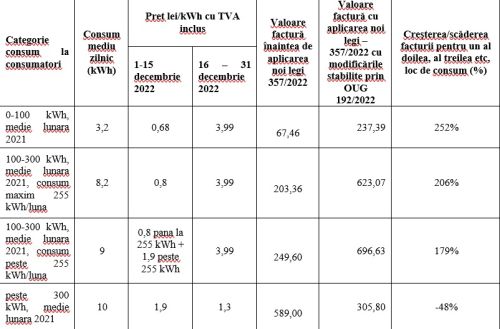 Eliminarea declaraţiei pentru locul de consum, nu elimină aplicabilitatea plafonării doar pentru un singur loc de consum