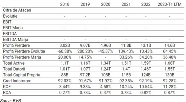 TradeVille: Erste Group are în plan creşterea dividendului cu 42%