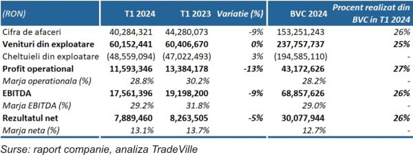 TradeVille: Pahar pe jumătate plin pentru DN Agrar Group