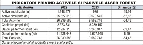 Investitori în obligaţiuni Alser Forest acuză că au fost păgubiţi intenţionat de acţionarul majoritar