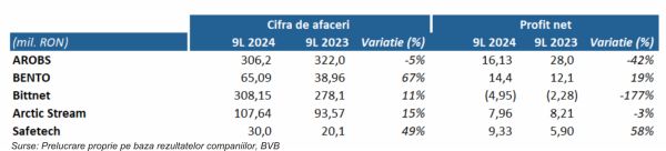 TradeVille: Sectorul IT de la BVB se pregăteşte pentru 2025