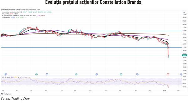 TradeVille: Constellation Brands - s-a încălzit berea...