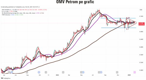 TradeVille: OMV Petrom - investiţii masive în proiectul Neptun Deep