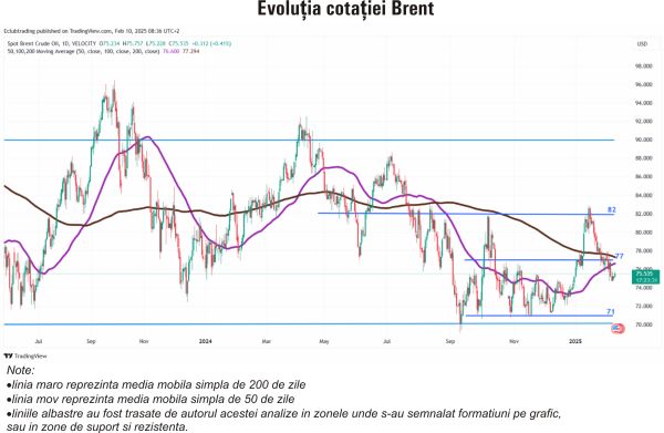 TradeVille: Exxon Mobil şi Shell - companiile petroliere cu cele mai mari venituri, în 2024