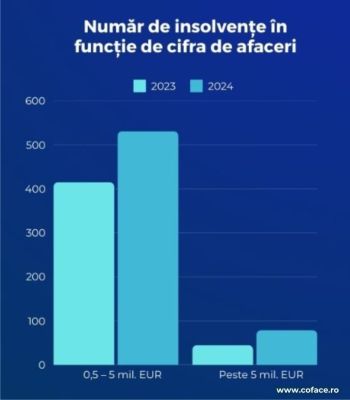 Explozie de insolvenţe: 7.274 de companii au intrat în incapacitate de plată anul trecut