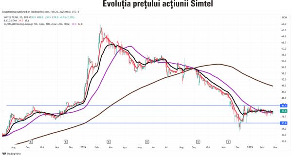 TradeVille: Simtel are nevoie de flexibilitate şi adaptare în activitatea din 2025