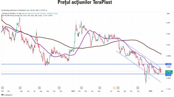 TradeVille: TeraPlast - extinderi rapide