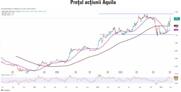 TradeVille: Aquila, susţinută de integrarea companiilor achiziţionate