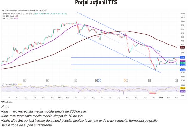 TradeVille: 2024, an dificil pentru Transport Trade Services