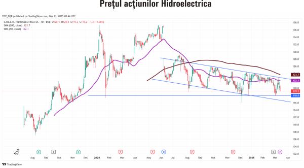 TradeVille: Hidroelectrica aşteaptă profituri în scădere