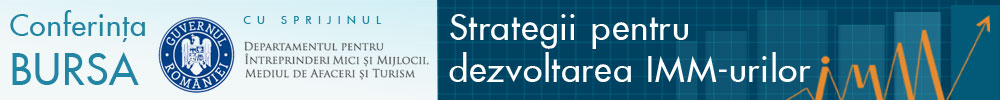 Strategii dezvoltare imm 2014